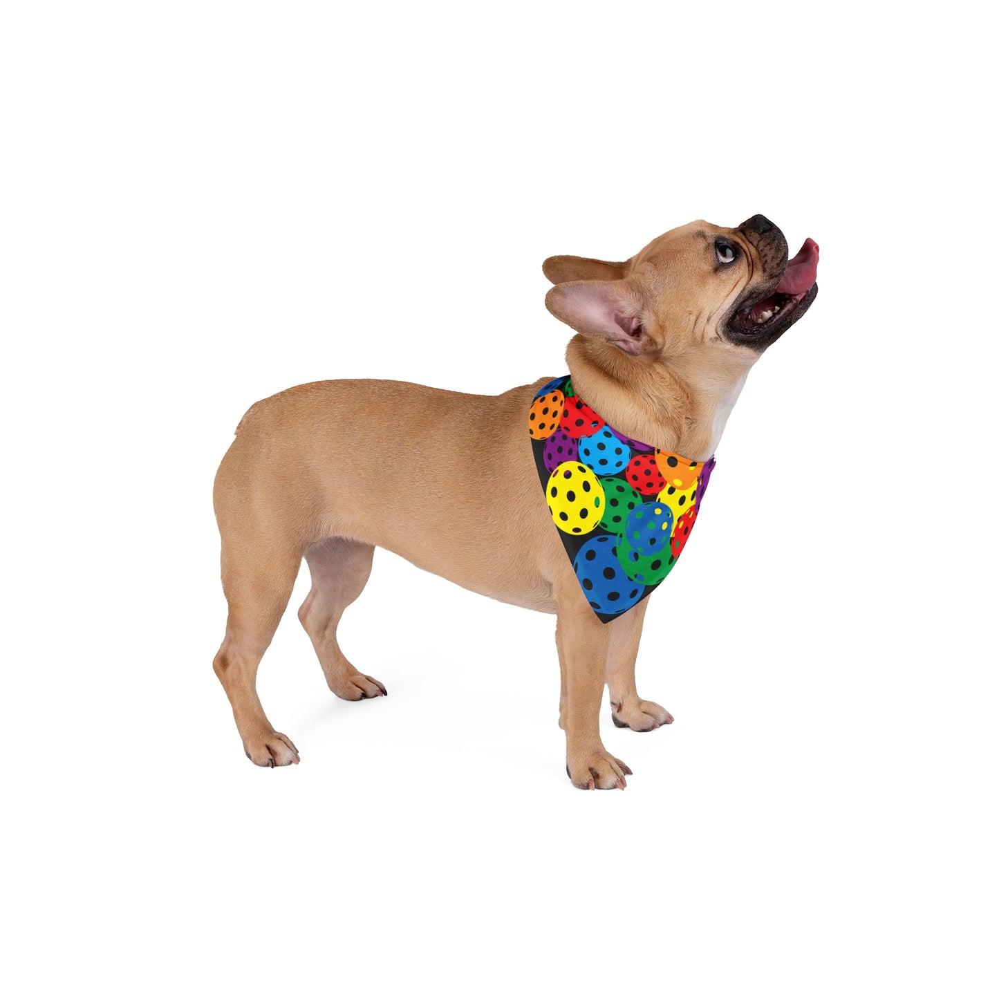 Pickleball Pet Bandana for any size dog BLACK