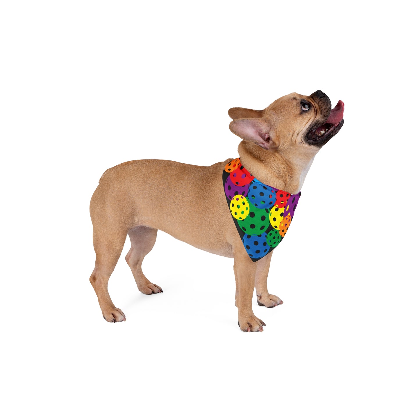 Pickleball Pet Bandana for any size dog BLACK