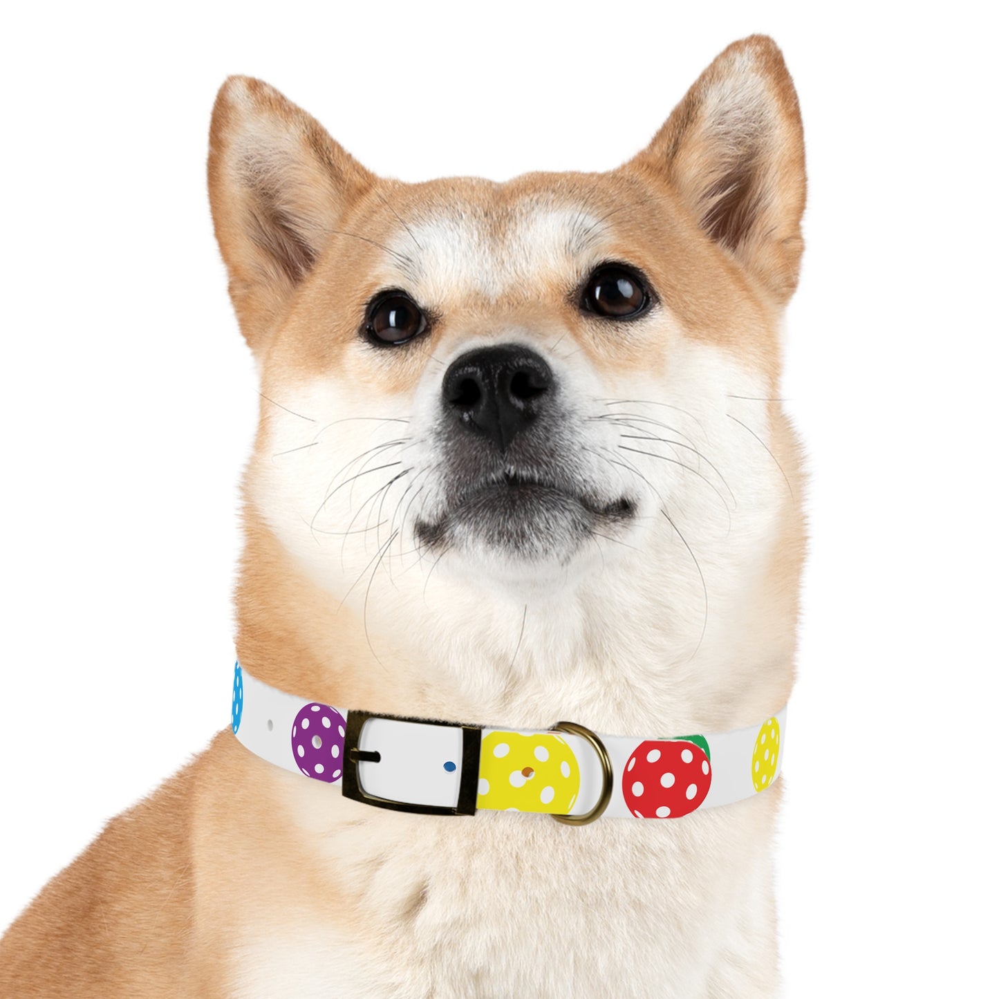 Pickleball Dog Collar white