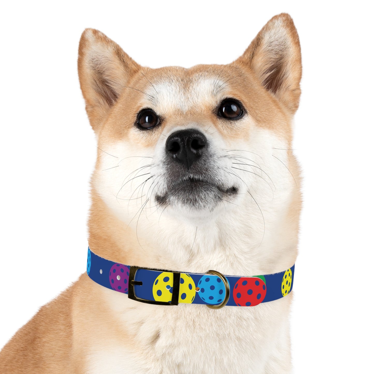 Pickleball Dog Collar BLUE