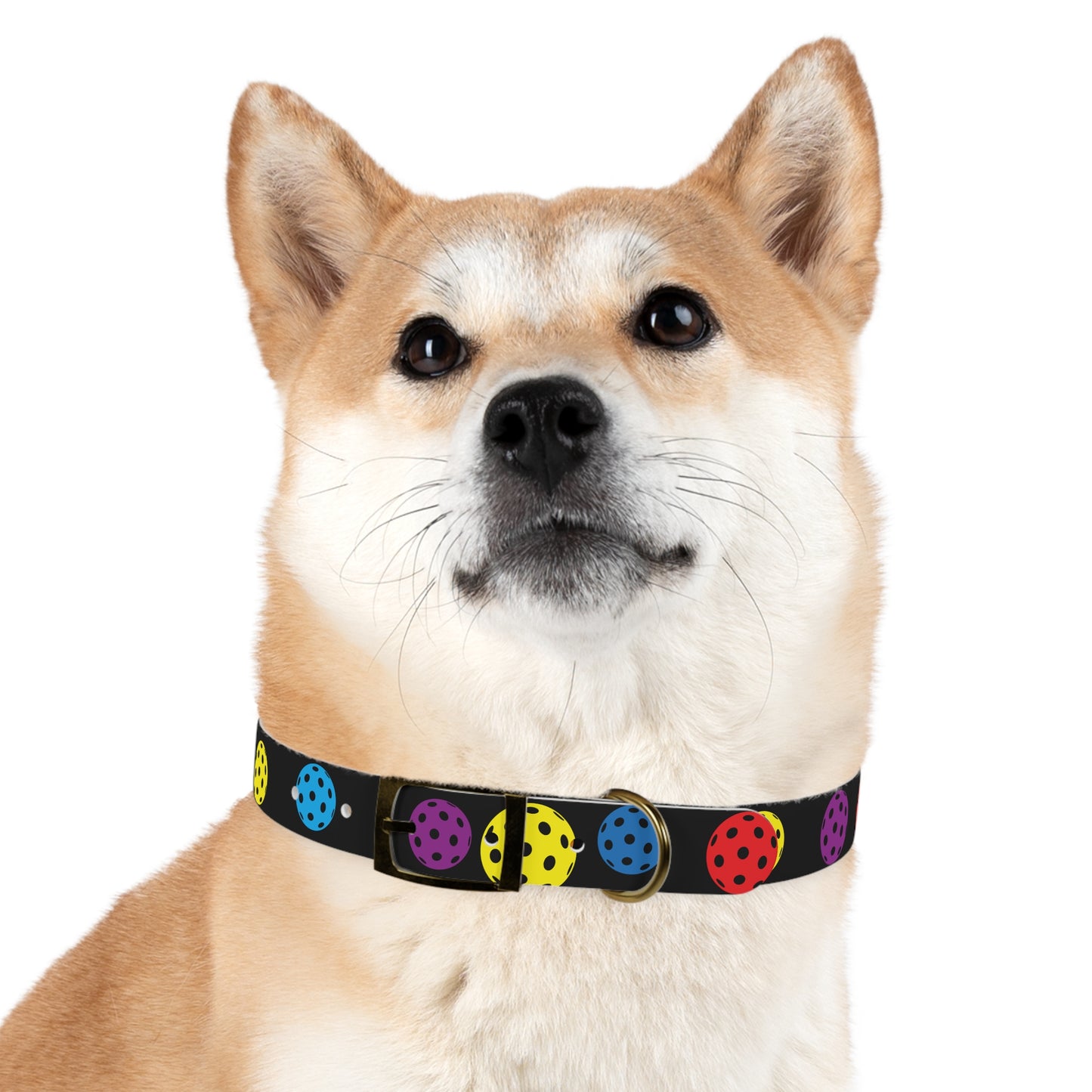 Pickleball Dog Collar BLACK