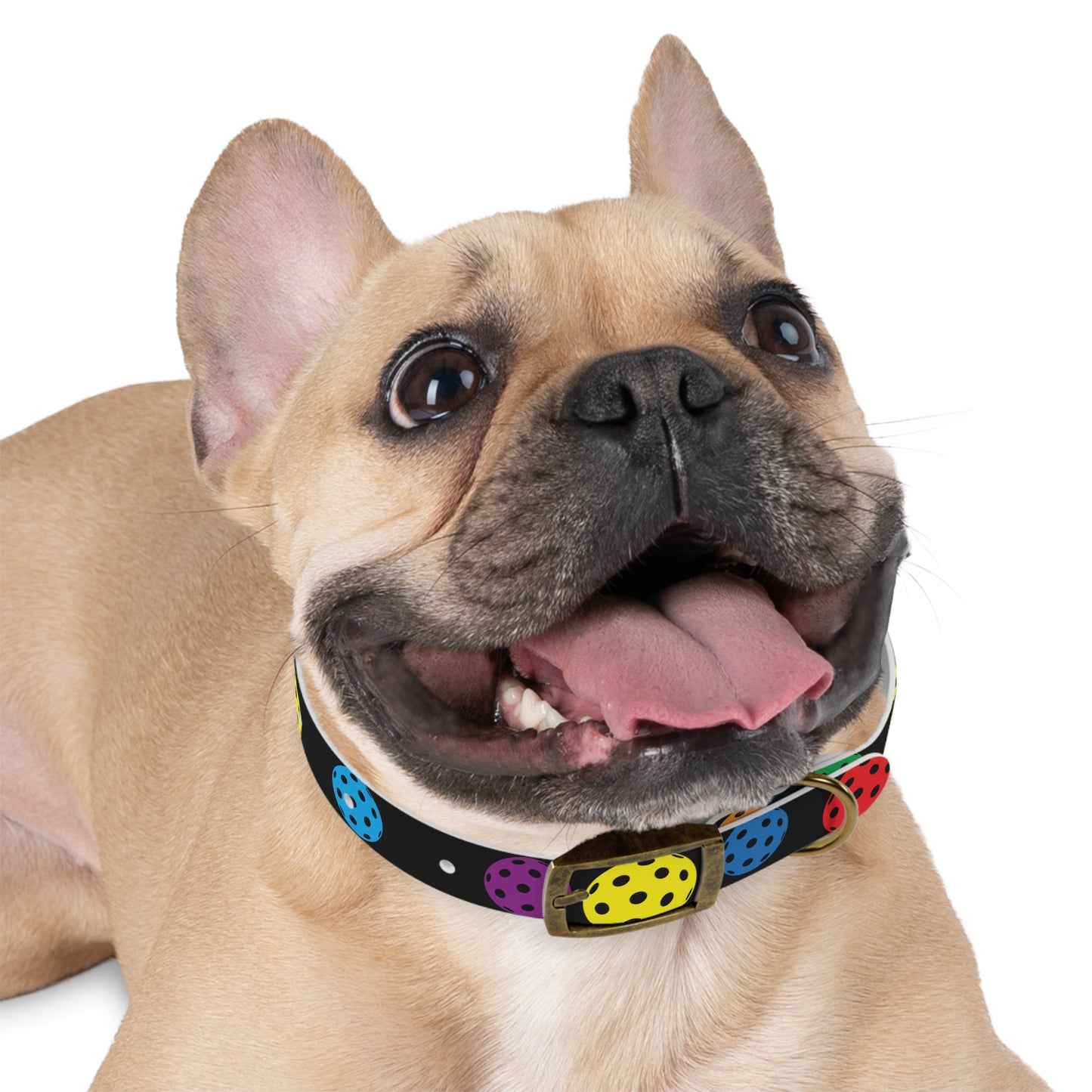 Pickleball Dog Collar BLACK