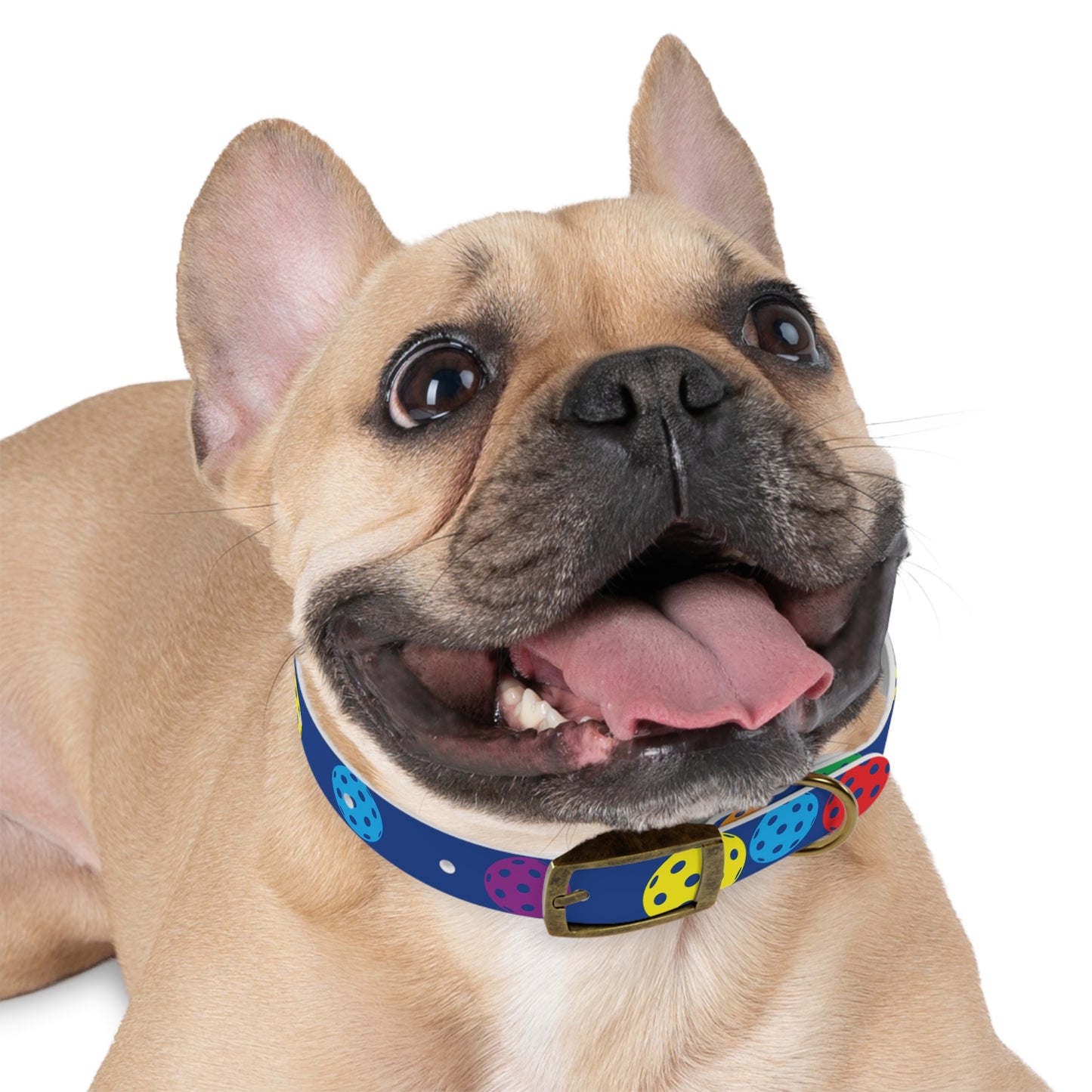 Pickleball Dog Collar BLUE