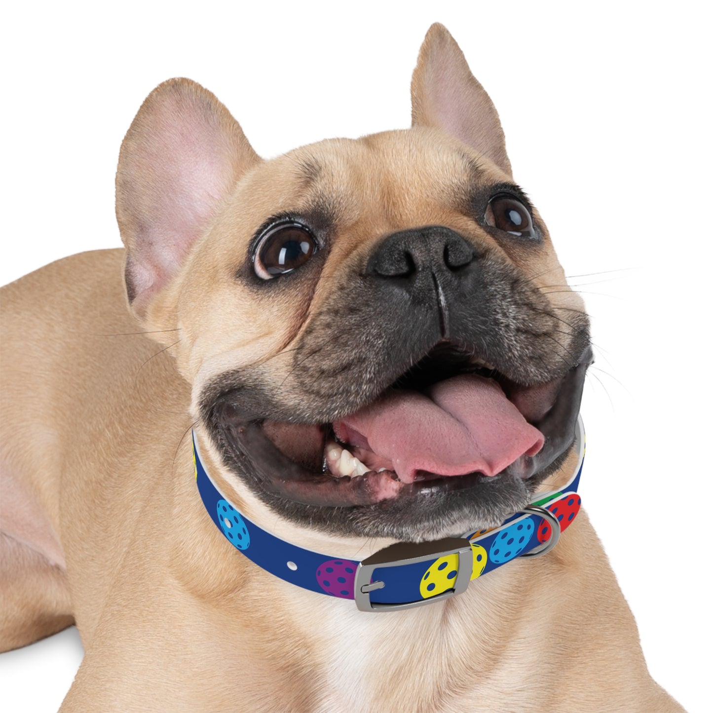 Pickleball Dog Collar BLUE