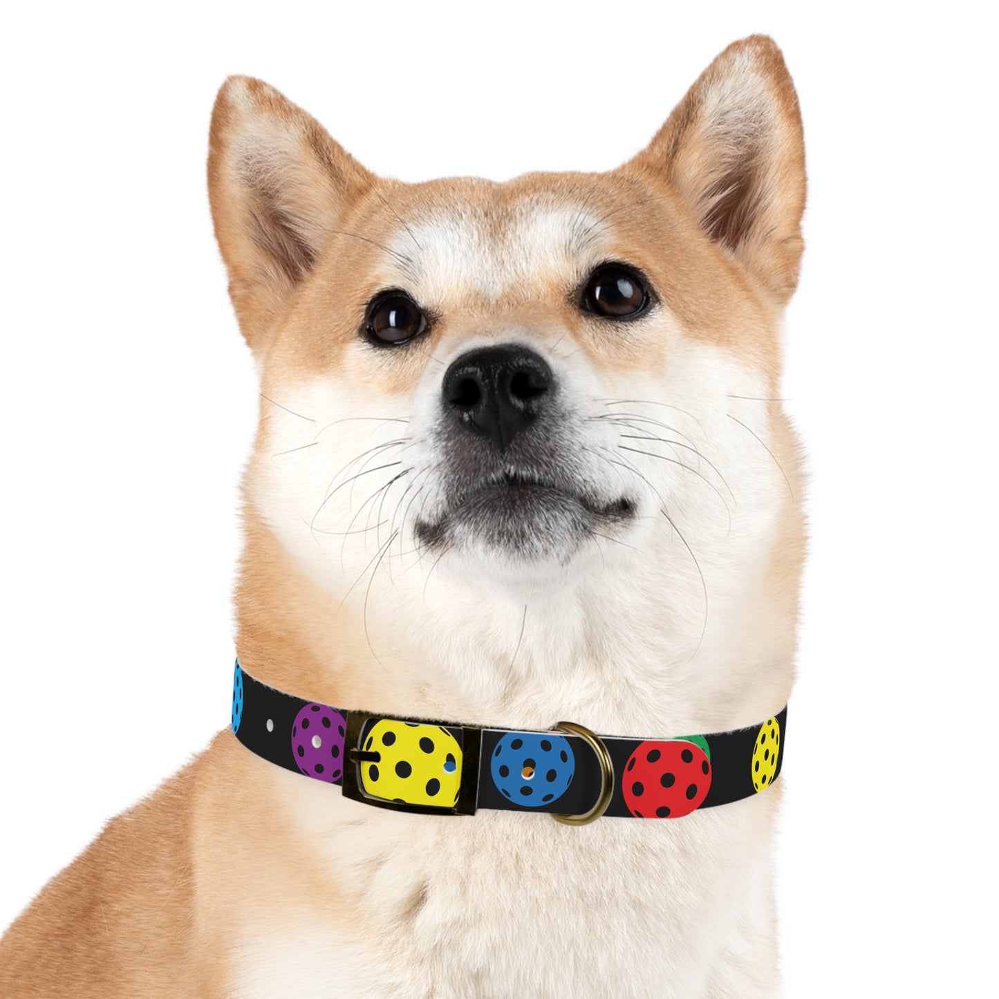 Pickleball Dog Collar BLACK