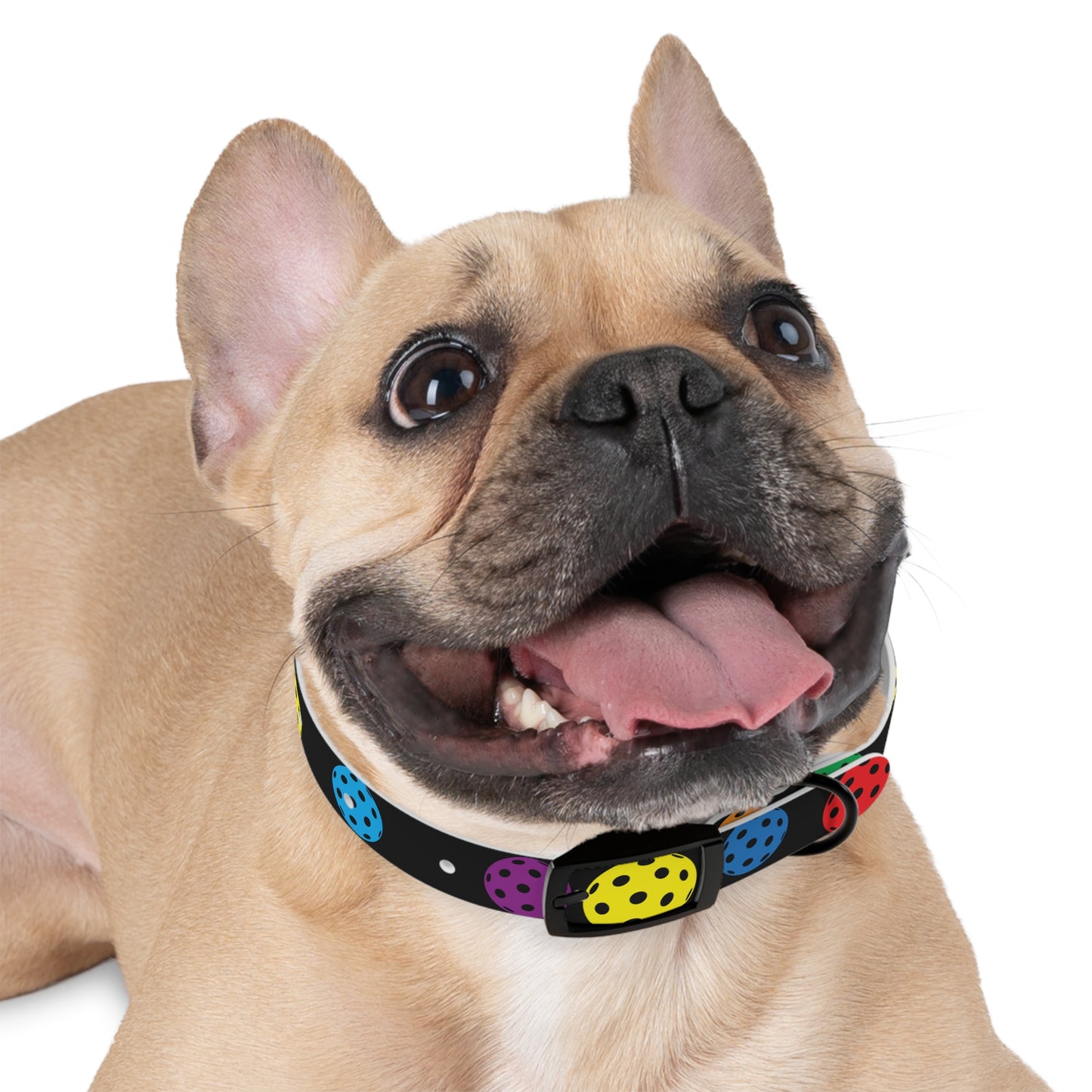 Pickleball Dog Collar BLACK