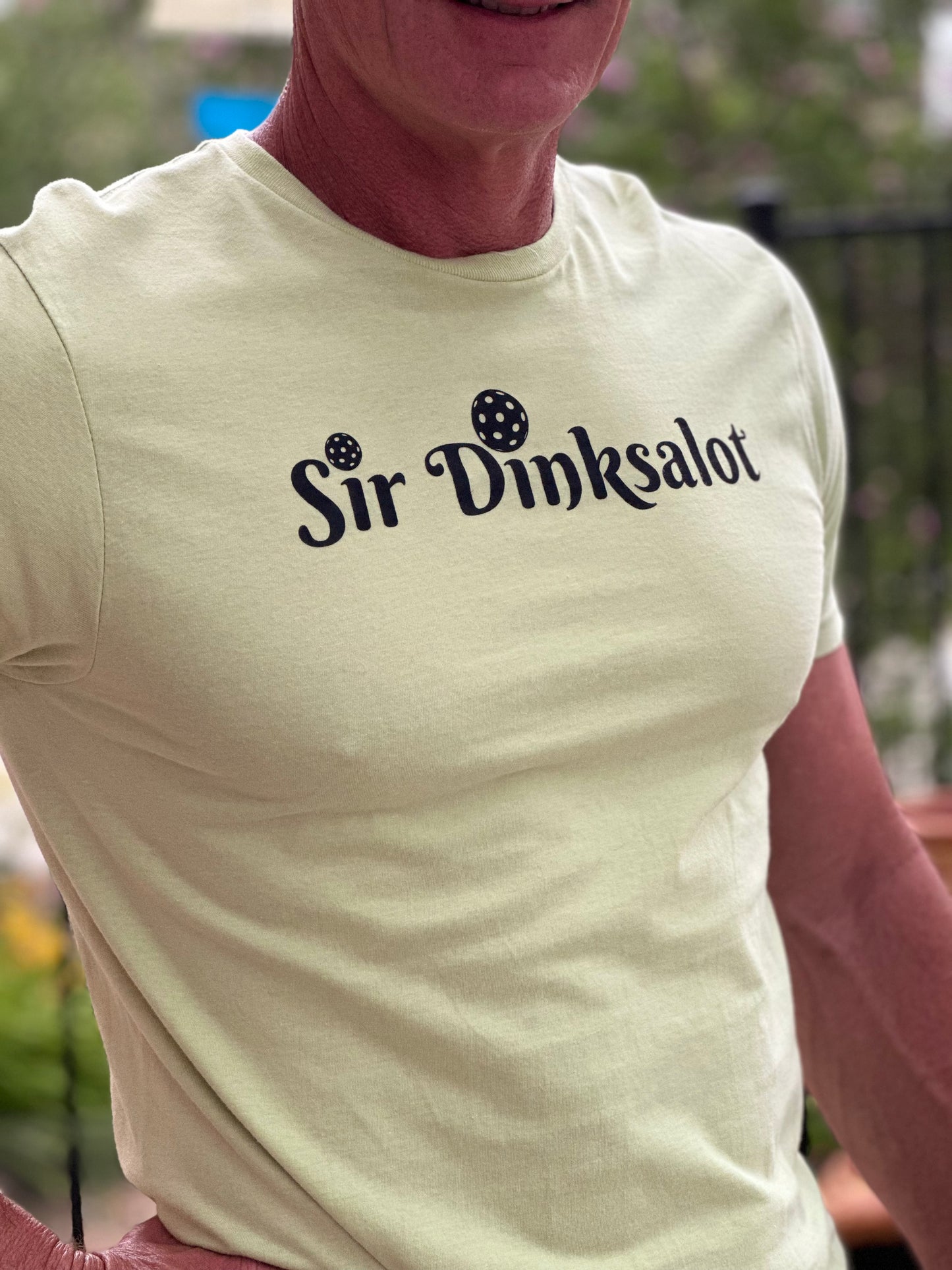 Mens' Fun Tees - SIR DINKS-ALOT